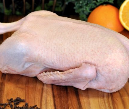 Free Range Duck