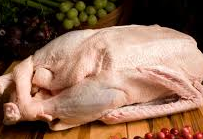 Free Range Goose
